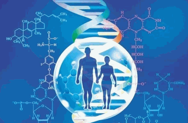 利普康基因检测